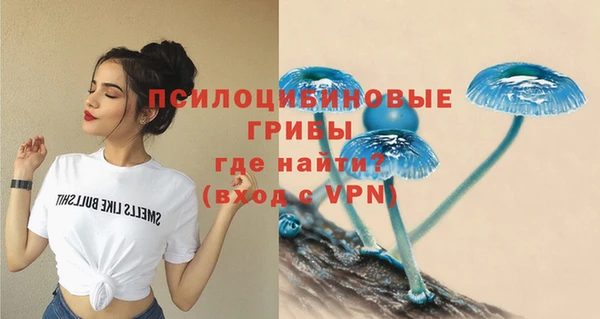 не бодяженный Новокубанск