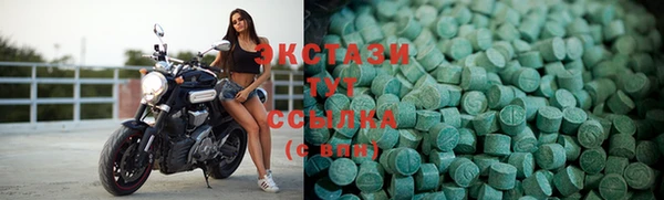 гидра Билибино