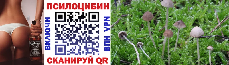 Галлюциногенные грибы мицелий  купить   Кандалакша 