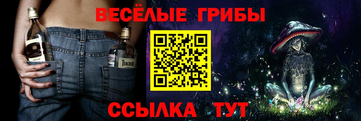 Галлюциногенные грибы Psilocybine cubensis  Галлюциногенные грибы прущие грибы  Кандалакша  Вход с VPN 