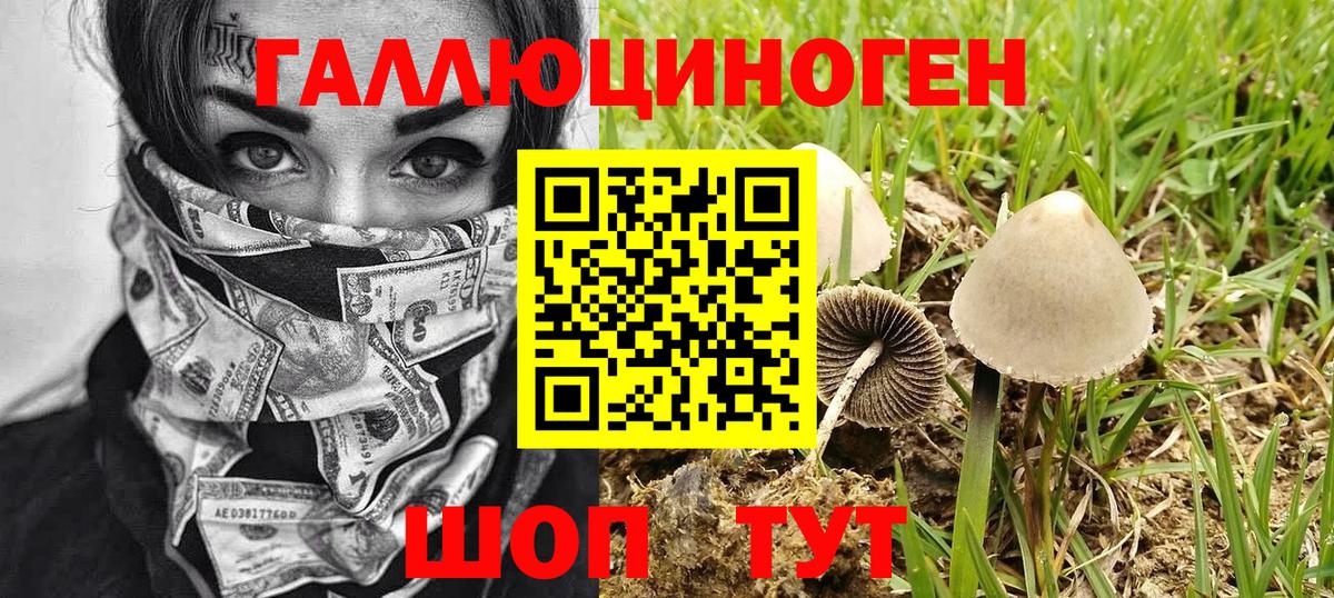 Галлюциногенные грибы GOLDEN TEACHER Кандалакша